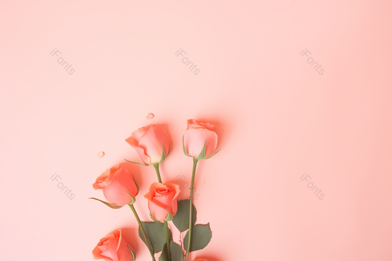 七夕礼物玫瑰花与玫瑰花花瓣,高清,摄影图,摄影图片,图片大全,摄影图免费下载